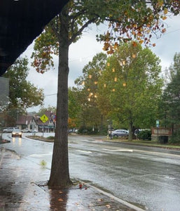 Rainy Day Guide to Asheville, NC