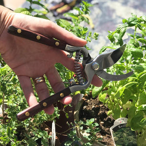 Kitchen Garden Shears - Provisions, LLC